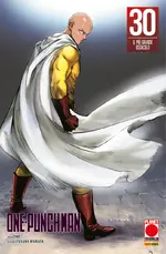 One-Punch Man Variant